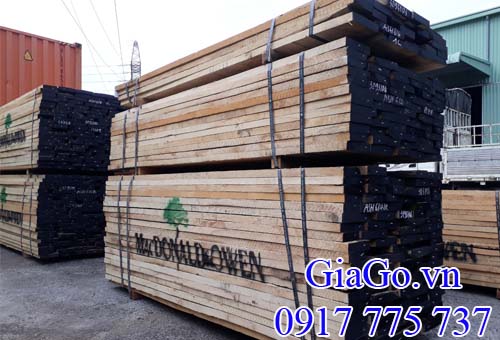 bán gỗ tần bì (ash) nguyên liệu