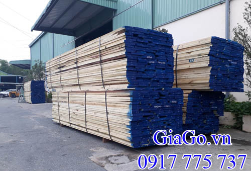 bán gỗ Dương nguyên liệu