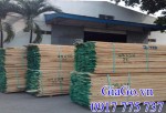 Bán gỗ tần bì xẻ sấy nhập khẩu tại Bình Dương