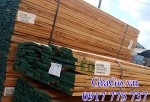Báo giá gỗ Sồi (Oak) nhập khẩu chính ngạch là bao nhiêu?