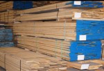 Các loại gỗ cứng nhập khẩu nguyên kiện