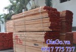 Giá gỗ Beech nhập khẩu tại Hà Nội hiện nay đắt hay rẻ?