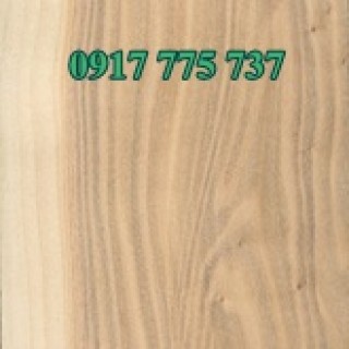 White Poplar Lumber 8/4”