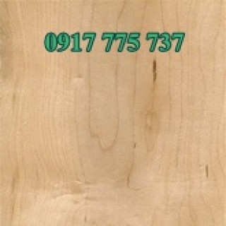 Soft Maple Lumber 6/4”