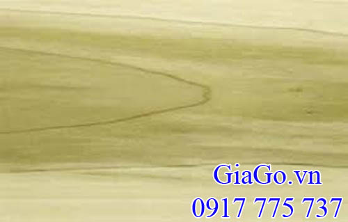 vân gỗ bạch dương