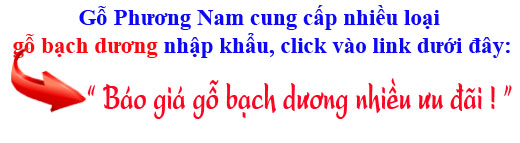 báo giá gỗ bạch dượng (gỗ poplar) nhập khẩu với nhiều ưu đãi