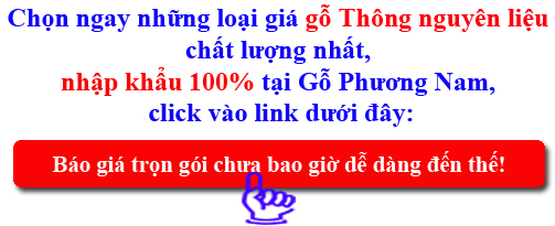 báo giá gỗ thông rẻ