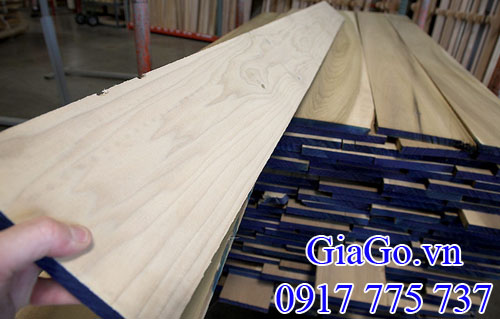 gỗ poplar - bạch dương