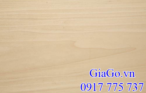 Dát gỗ bạch dương (gỗ poplar)