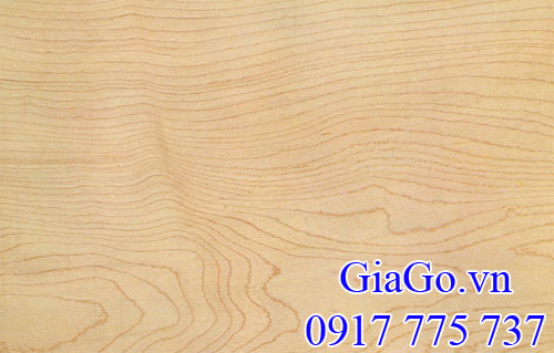 dát gỗ thích (gỗ maple)