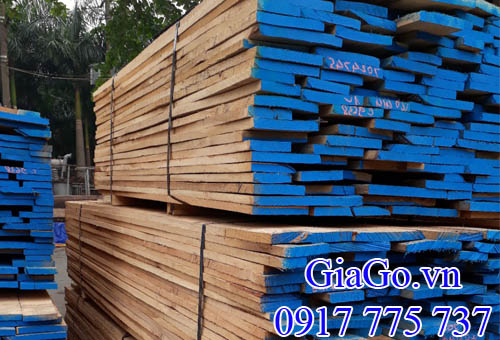 Giá mua gỗ Sồi xẻ sấy tại kho gỗ phương nam