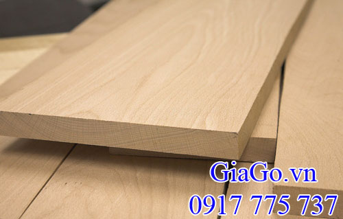 gỗ dẻ gai (gỗ beech) châu âu nhập khẩu