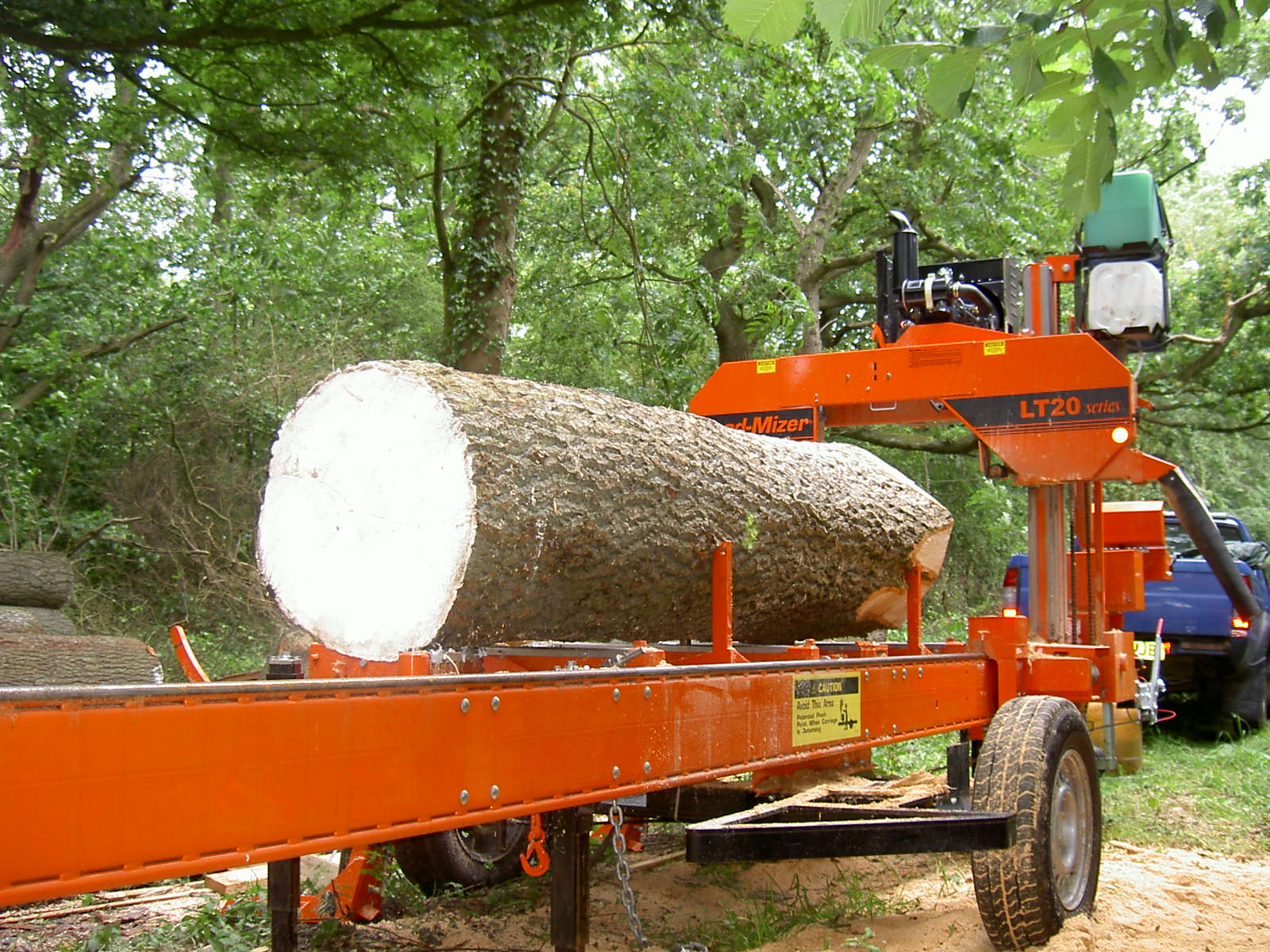 gỗ sồi (oak)