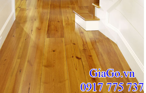 gỗ thông (gỗ pine) làm lót sàn