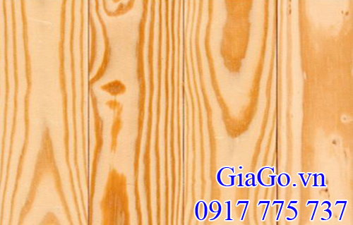 gỗ thông (gỗ pine) xẻ sấy