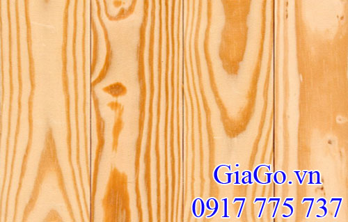 vân gỗ pine (gỗ thông)