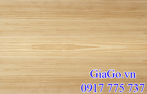 vân gỗ thông (gỗ pine) nguyên liệu