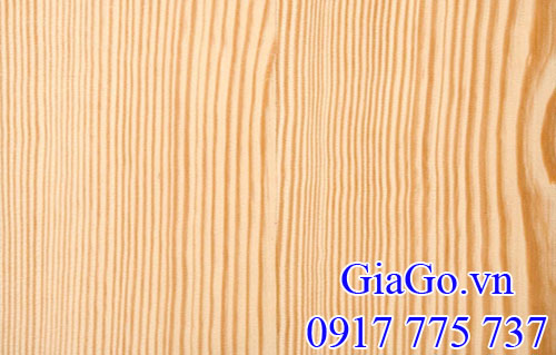 vân gỗ thông (pine) nhập khẩu